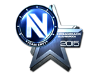 Team EnVyUs (Foil) | Cluj-Napoca 2015 image